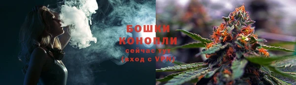 гидропоника Богданович