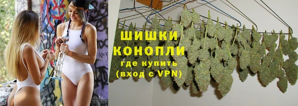 гидропоника Богданович