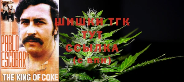 гидропоника Богданович
