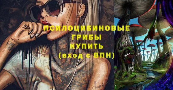 гидропоника Богданович